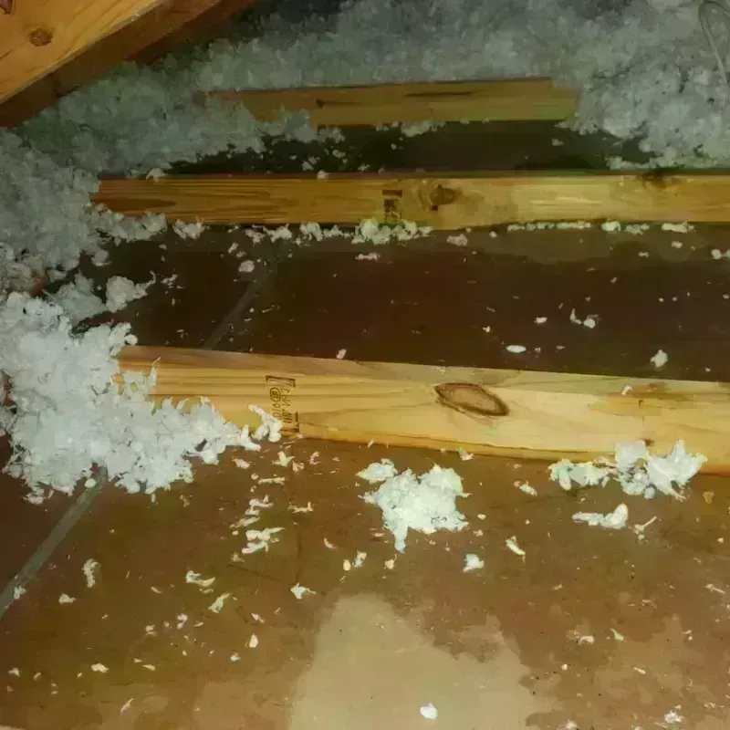 Attic Water Damage in Bridgeton, MO