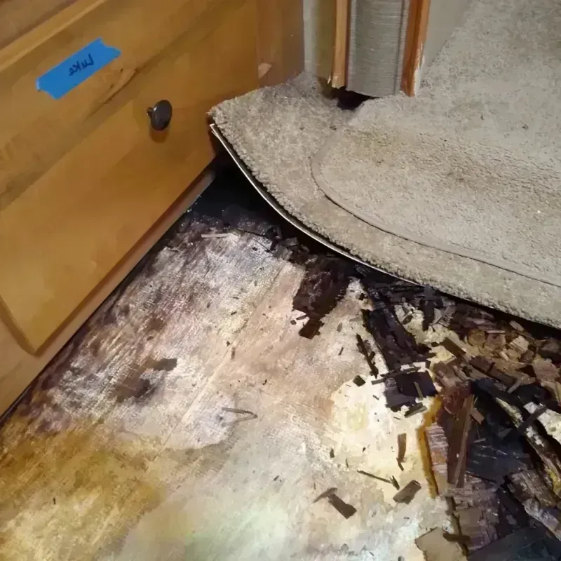 Wood Floor Water Damage in Bridgeton, MO